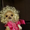Tammy R.